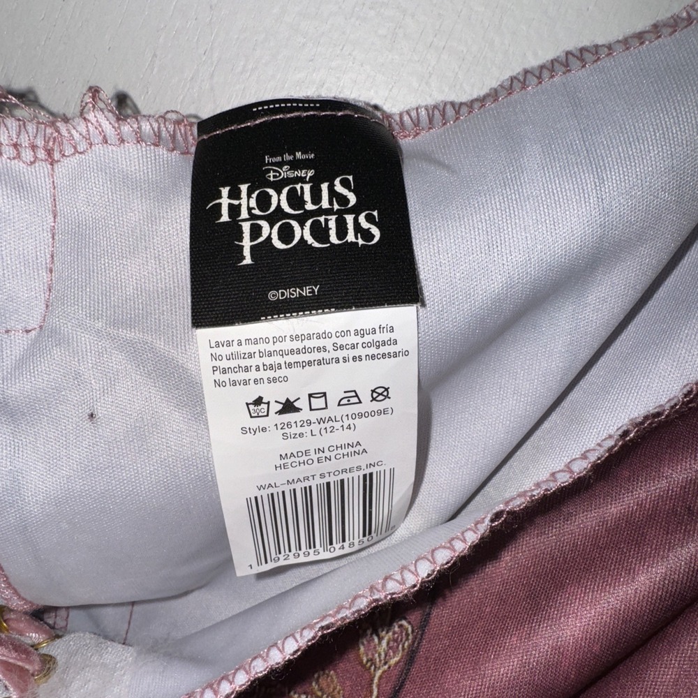 Disney Hocus Pocus Sarah Sanderson Costume Reniscancce Fair Witchy Women's 12/14 - Picture 8 of 10
